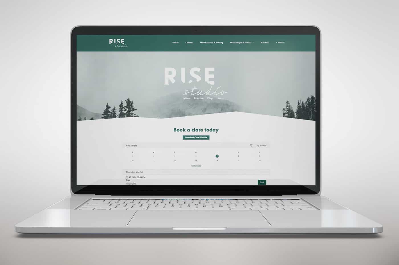 rise case study task 2 image